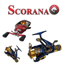 Scorana